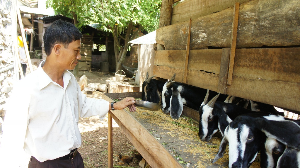 Nông thôn đổi thay nhờ khoa học công nghệ
